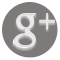 Google+