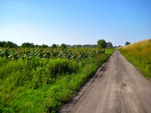 The rolling farmlands south of Warsaw cycling to the Castle at Czersk