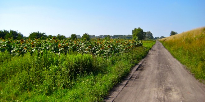 Day trip to “Zamek W Czersku”