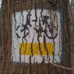 bicycle touring in kampinos national park; two wheel travel