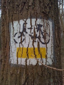 bicycle touring in kampinos national park; two wheel travel