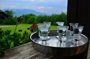 rakia; bicycle touring slovenia; two wheel travel; bicycle friendly hotel; bicycle touring