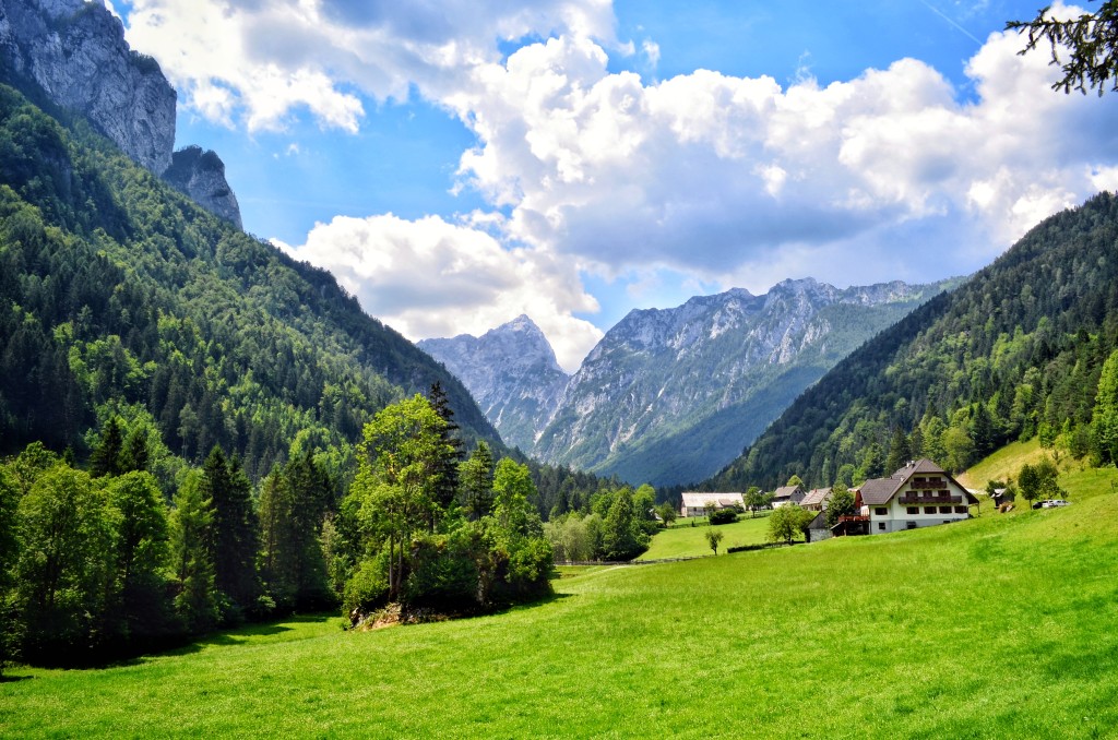 tourist farm Govc