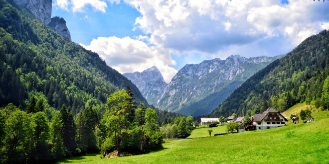 tourist farm Govc