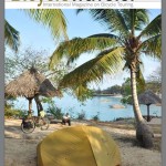 Download Bicycle Traveler Magazine